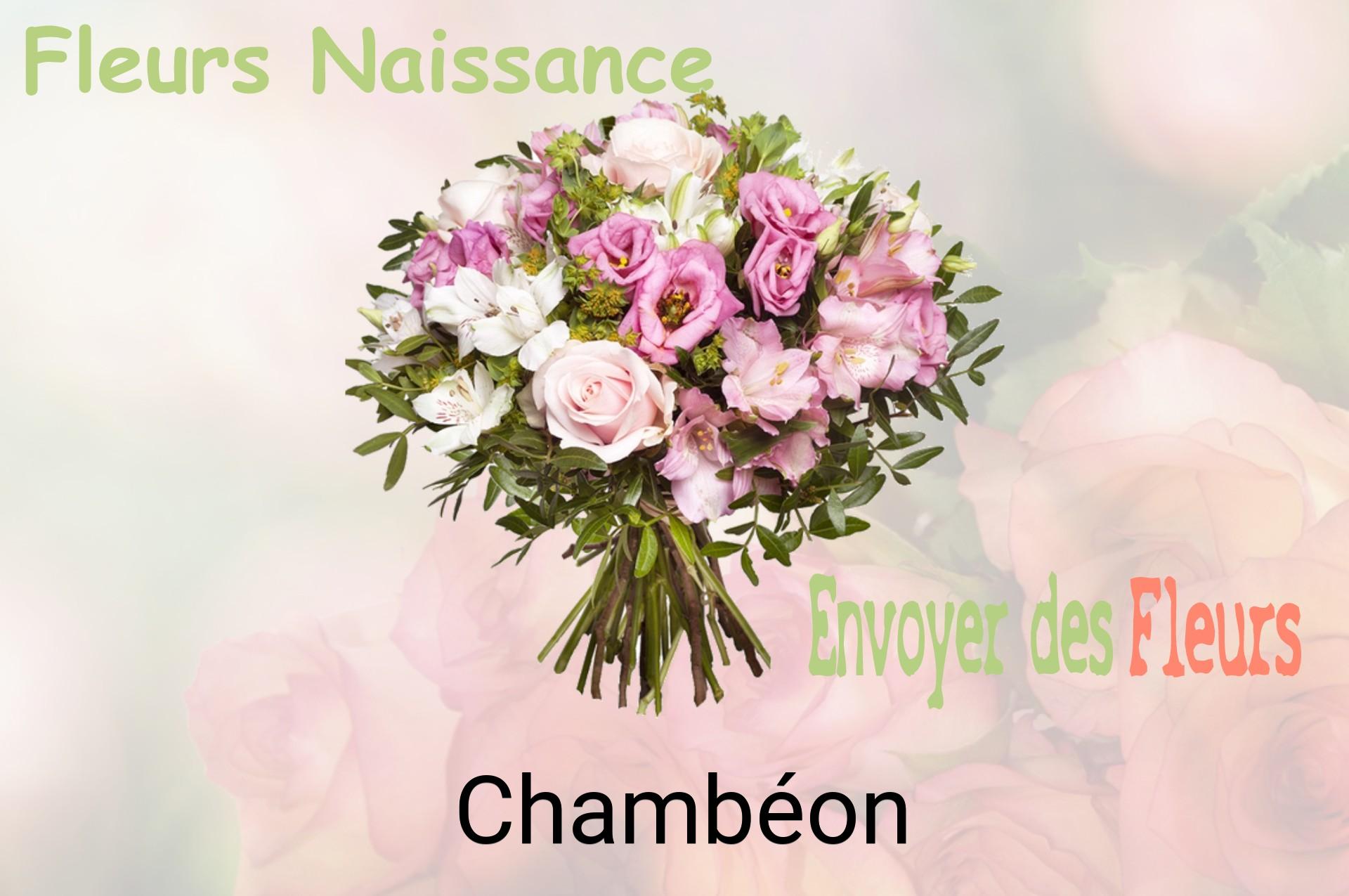 Bouquet de fleurs de naissance livré à Chambéon